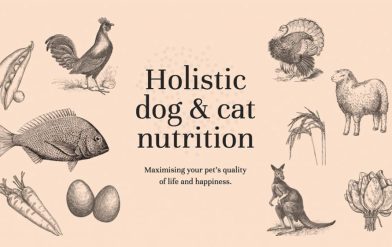 LifeWise takes on Hill’s veterinarian dominance with new BIOTIC range