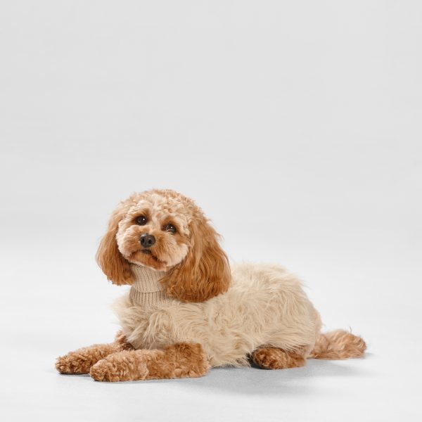 Snooza Wear Fur Knit Jumper in Ecru - Image 5